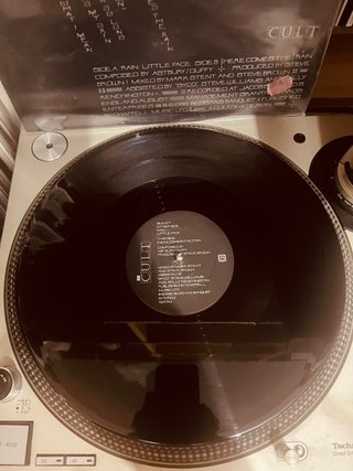The Cult - Rain (Vinilo Importado)