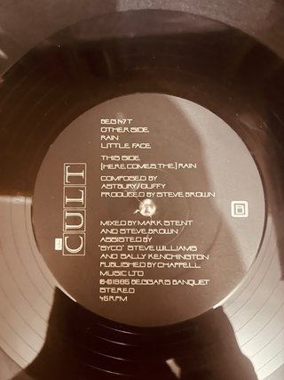 The Cult - Rain (Vinilo Importado)