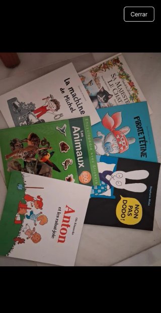Lote 6 libros infantil en francés