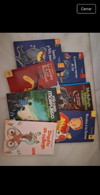 Lote 7 libros infantil en francés