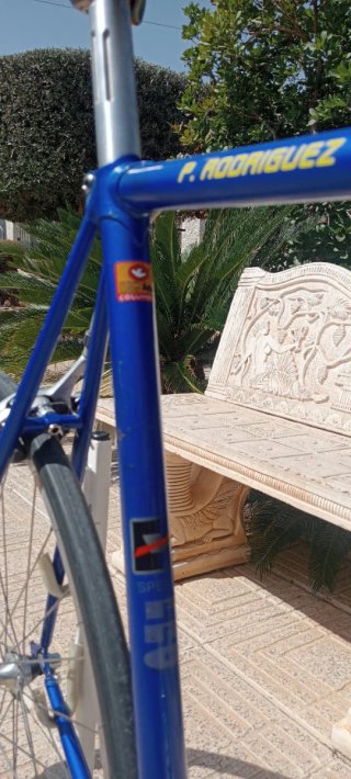 Bicicleta Carretera Clásica Vicini Azul