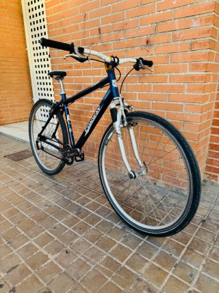 Bicicleta Conway 29