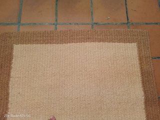 Alfombra de Yute Beige y Marrón