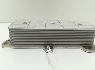 070117021d enfriador volkswagen touareg 344820