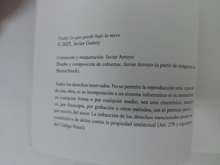Lo que quedó bajo la nieve. Javier Guiroy