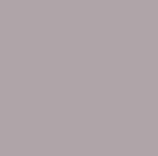 Opel 245901 capot 1160223 tigra