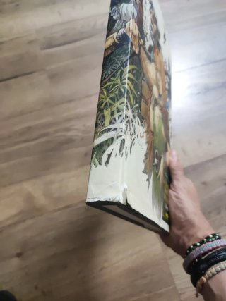 La búsqueda del pájaro del tiempo integral