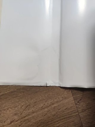 La búsqueda del pájaro del tiempo integral