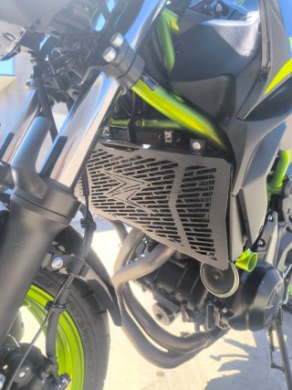Kawasaki Z650 2021
