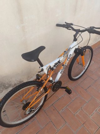 Bicicleta Romester