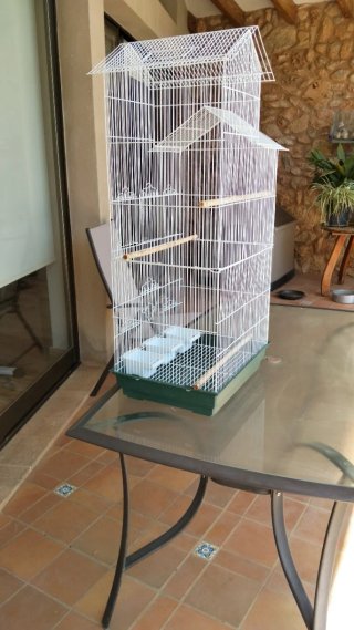 Jaula para loros y cacatúas