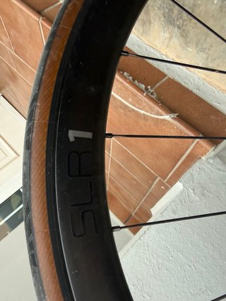 Giant Defy 2024