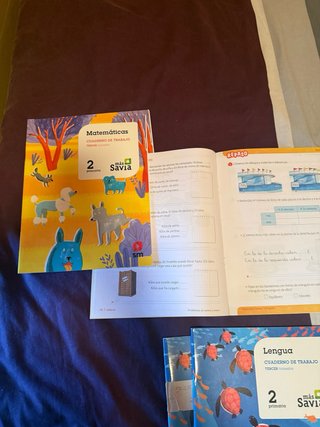 Lengua, 2 Primaria Más Savia : pauta. Cuaderno ...