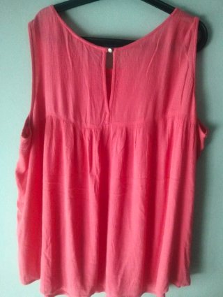 Blusa sin mangas bordada