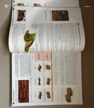 Biología, Geología y CC. Ambientales 1º Bachill...