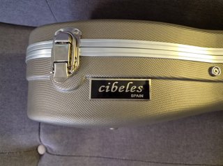 Ibanez FRH10N-NTF Guitarra + Estuche+ LR.BAGGS