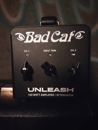 Marshall 1987x + Atenuador Bad Cat Unleash