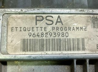 Citroen 169913 centralita motor uce 216476260 c3