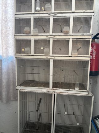 Mobiliario Tienda Animales: Peceras, jaulas.....