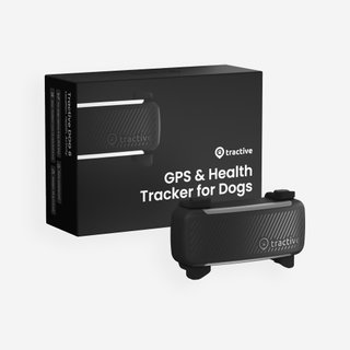 Collar Gps Perro DOG6
