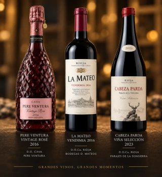 Vinoteca + colección especial 27 vinos