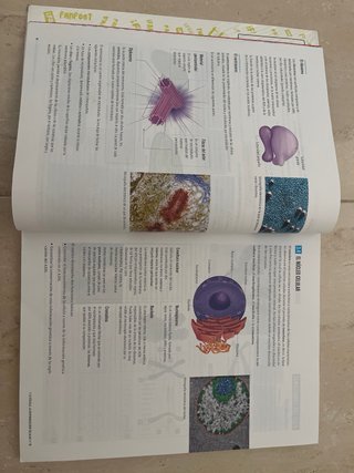 Biología y Geología 4, Secundaria, Fanfest Edel...