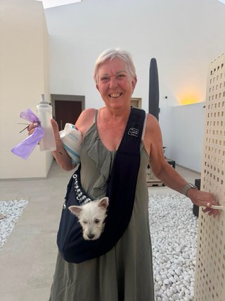 Bolso de hombro para mascotas azul