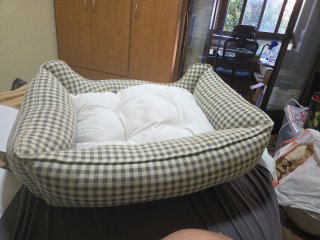 Cama para perro/gato beige y gris