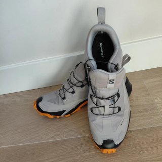 Botas de montaña Salomon Gore-Tex grises