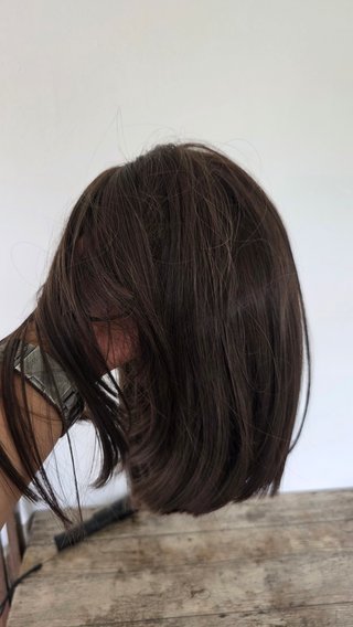 Peluca Castaña Corta + Redecilla Wig Cap