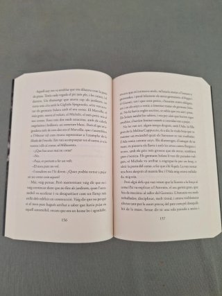 Libro: L'amiga genial. Elena Ferrante