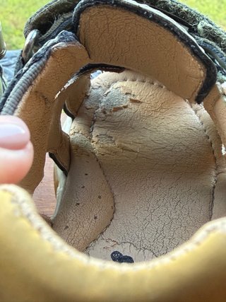 Sandalias Niño Verde Conguitos