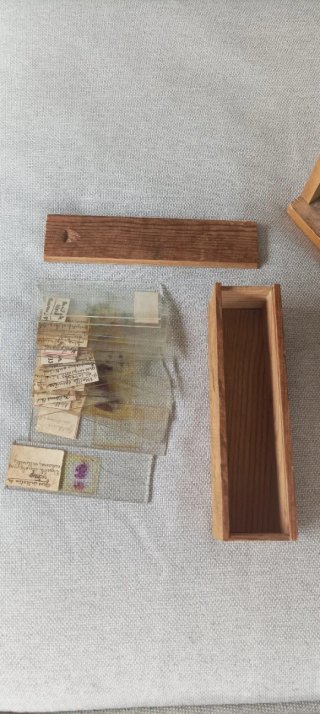 Microscopio antiguo "Schatz" Ruf & Co Kassel.