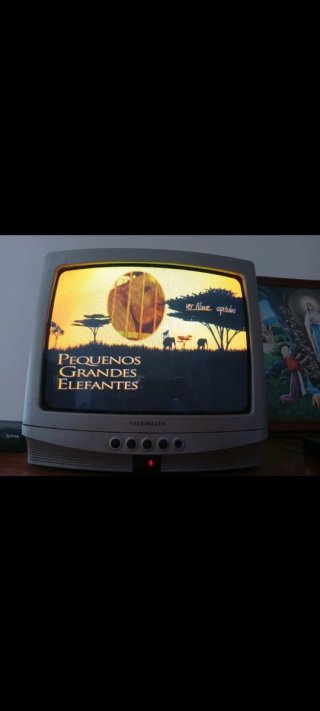 DVD Pequenos Grandes Elefantes 🇵🇹