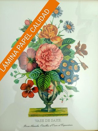 2 Cuadros Decorativos Florales Marco Dorado