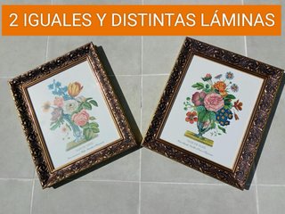 2 Cuadros Decorativos Florales Marco Dorado
