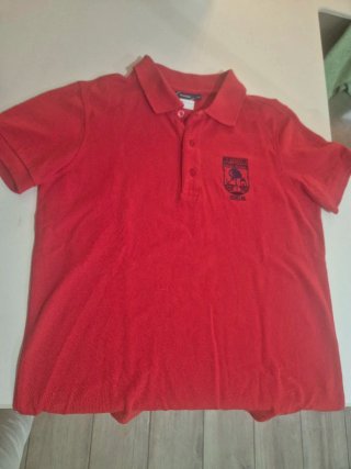 Polos Colegio Montessori Tallas 12 y 14