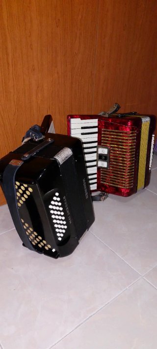Acordeón Hohner Student IV