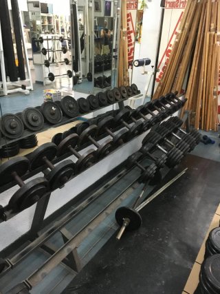 Mancuernas Biceps 2.5m 2 líneas