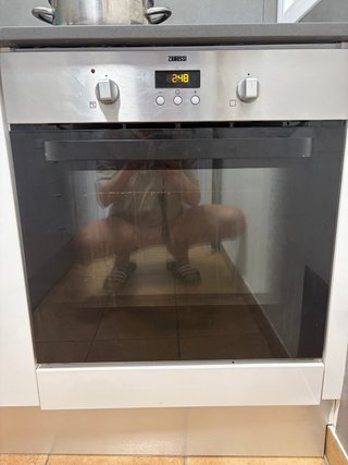 Horno Zanussi