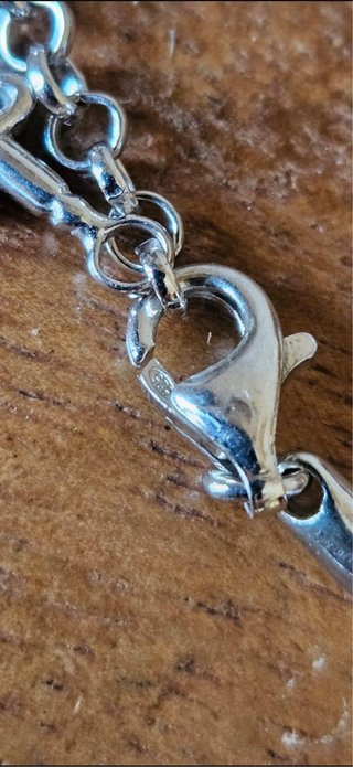 Girocollo Cesare Paciotti Argento 925