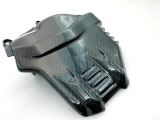 Tapa Culata Carbono Panigale Streetfighter V4 202