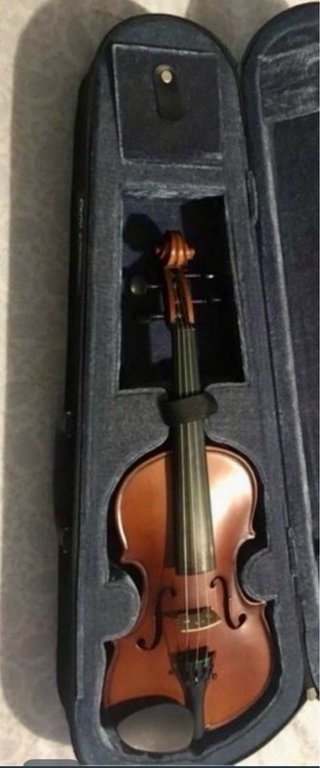 Violín 4/4 con funda Carlo Giordano VS-0