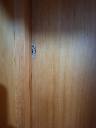 Armario ropero 2 puertas madera con llaves ! Leer