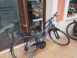 Bicicleta Giant Argento 25 Talla XS