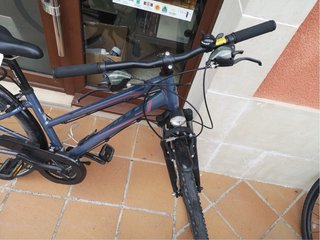 Bicicleta Giant Argento 25 Talla XS