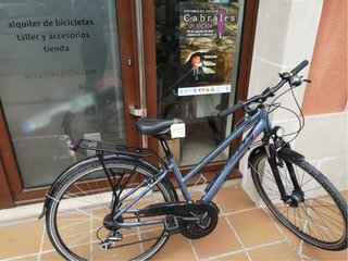 Bicicleta Giant Argento 25 Talla XS