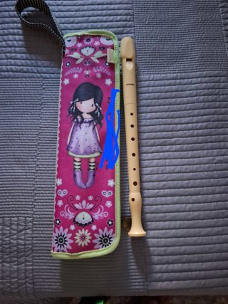 Flauta Hohner con funda de regalo.