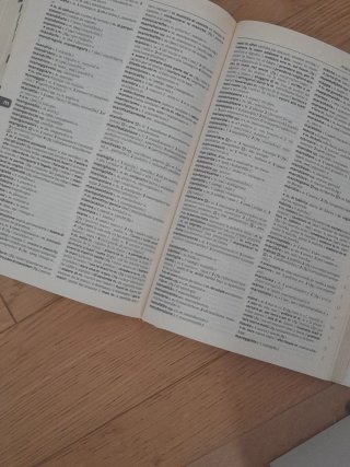 Lo spagnolo minore. Dizionario spagnolo-italian...