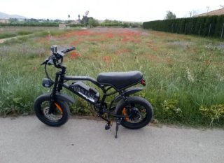 Bicicleta Eléctrica 250W
